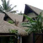 Thatch from Cook Island