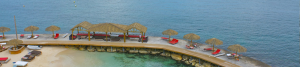 Palm Roof Thatching