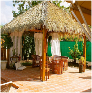Discover Thatch Roofing